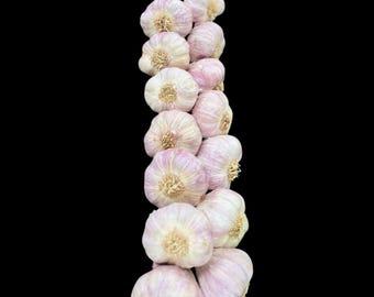 Gourmet 15-Bulb Garlic Braid - Hand-Tied Mediterranean Kitchen Decor, Bold Organic Garlic
