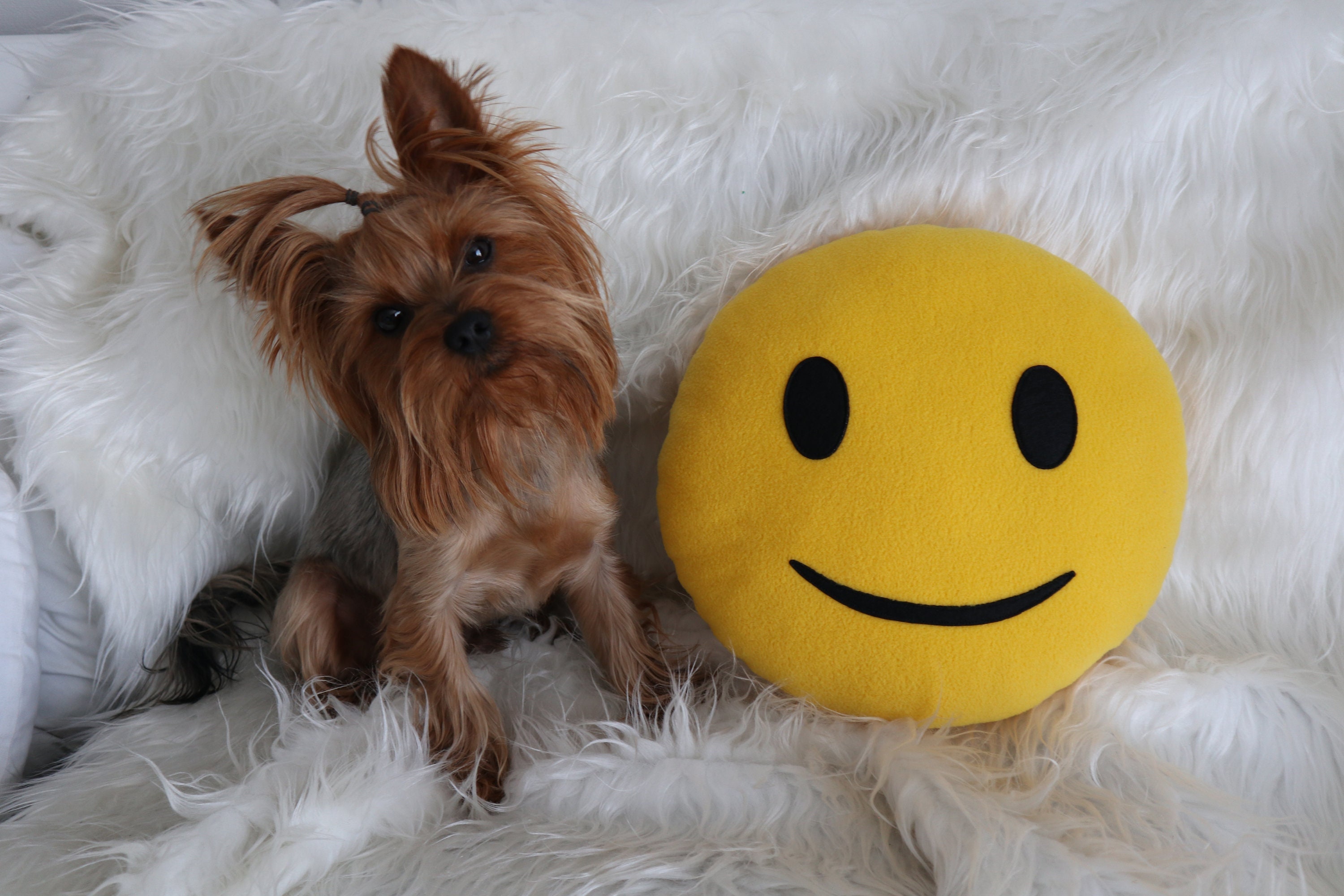 Emoji pillows Bangladesh