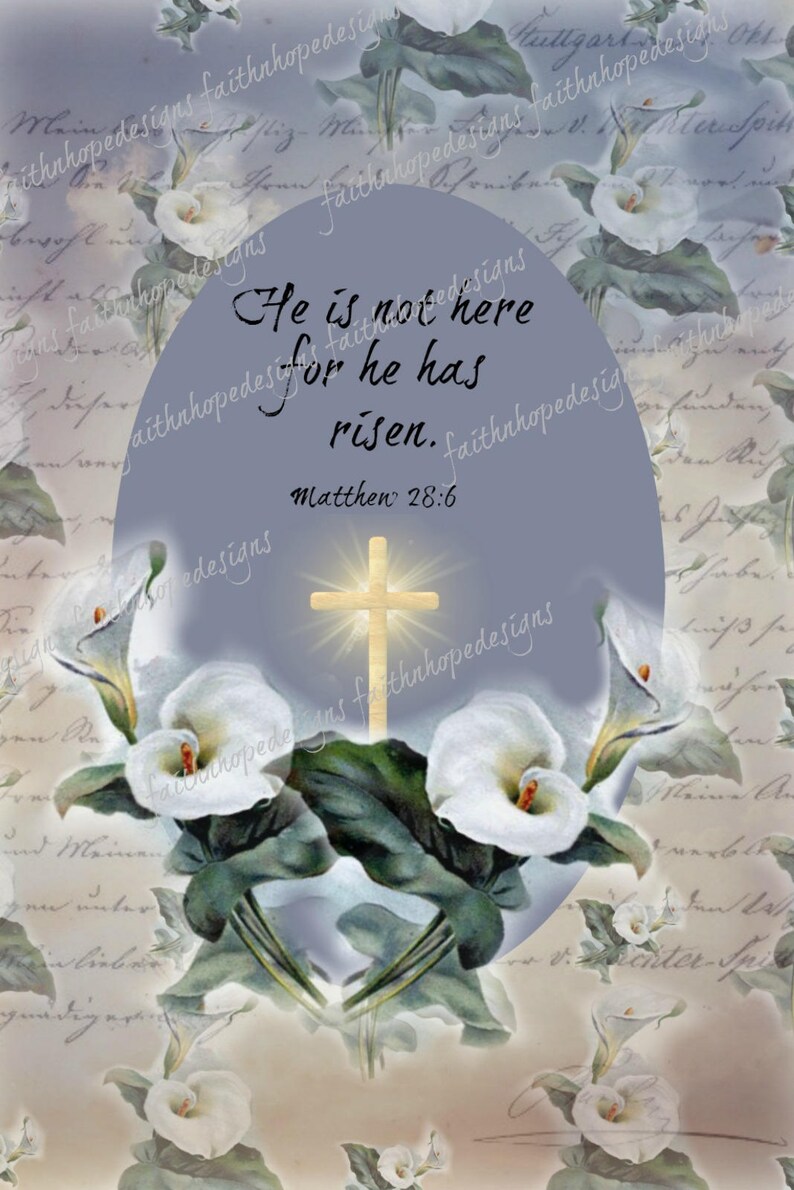 May include: A religious Easter card with a white background and a purple oval in the center. The oval contains the text "He is not here for he has risen. Matthew 28:6". The oval is surrounded by white calla lilies with green leaves. A gold cross with a bright light behind it is in the center of the oval.