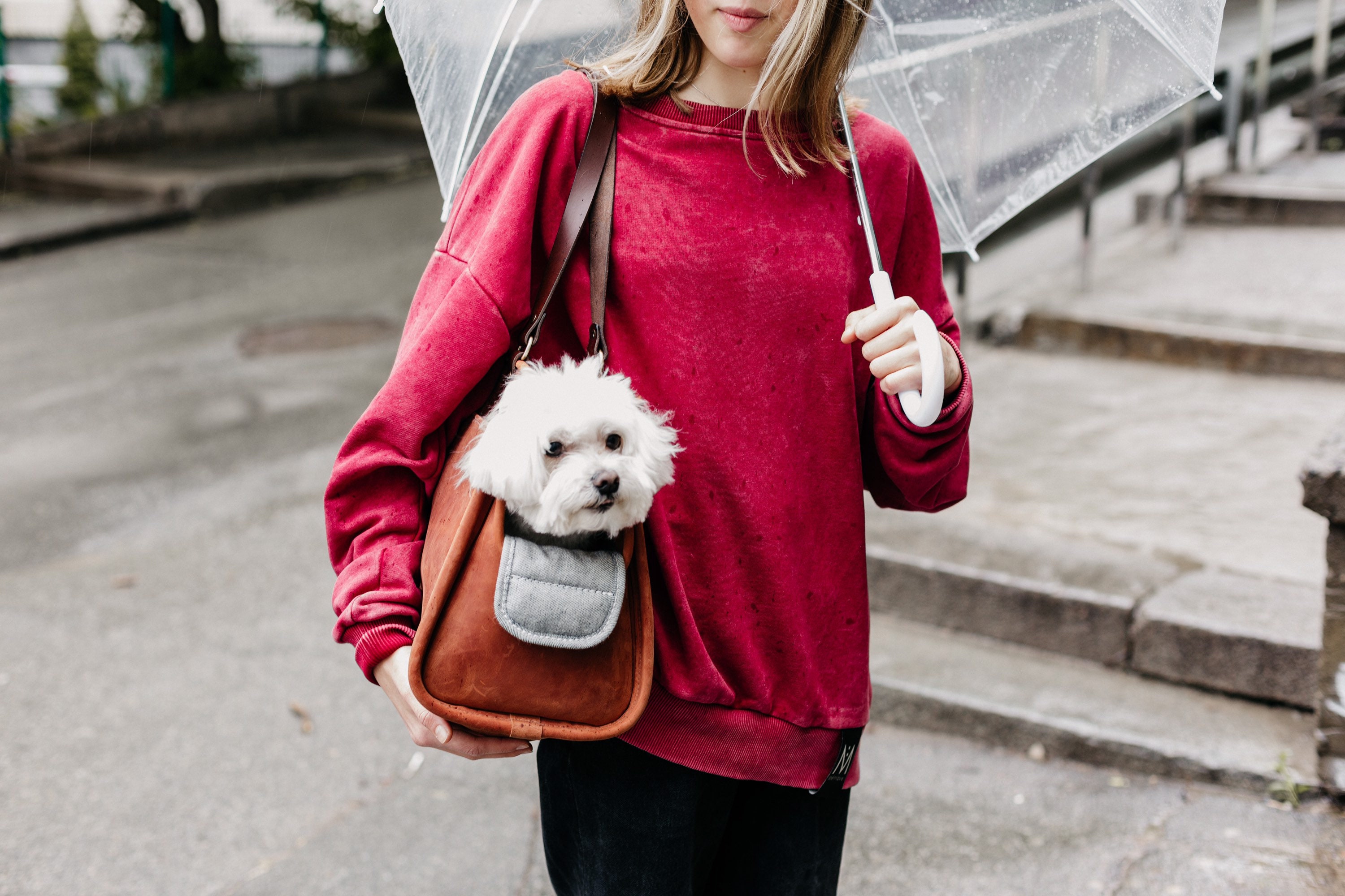 Leather dog carrier Pet carrier bag Pet carrier purse Cat Etsy