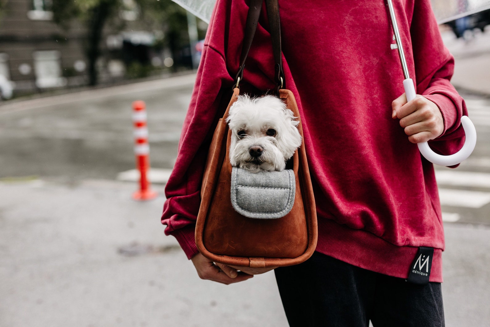 Pet Carrier Bag Pet Carrier Purse Dog Lover Gift Puppy Carrier Etsy