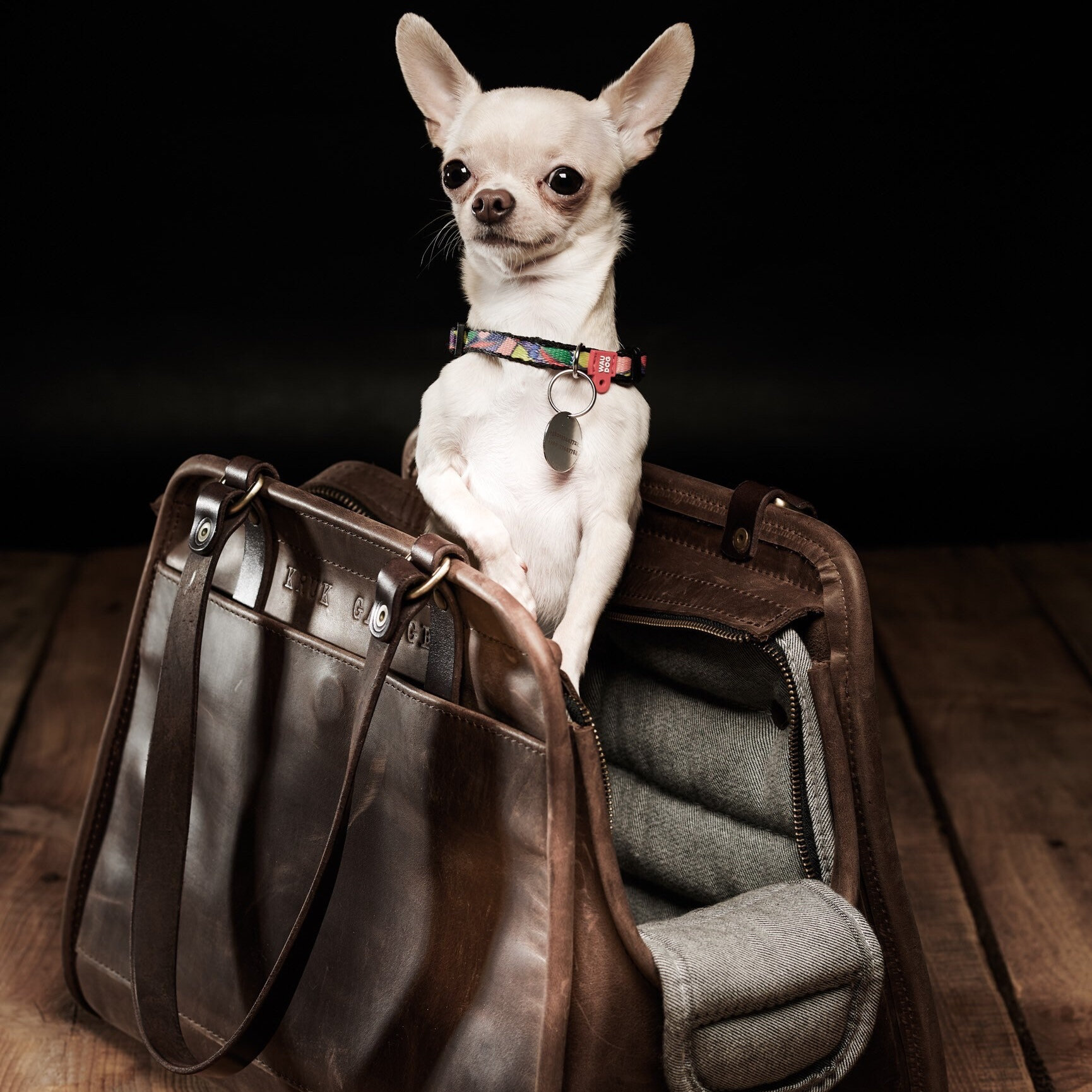 BETOP HOUSE Fashion Dog Carrier PU Leather Dog Handbag Dog Purse Cat Tote  Bag Pet Cat Dog Hiking Bag, Brown, Large