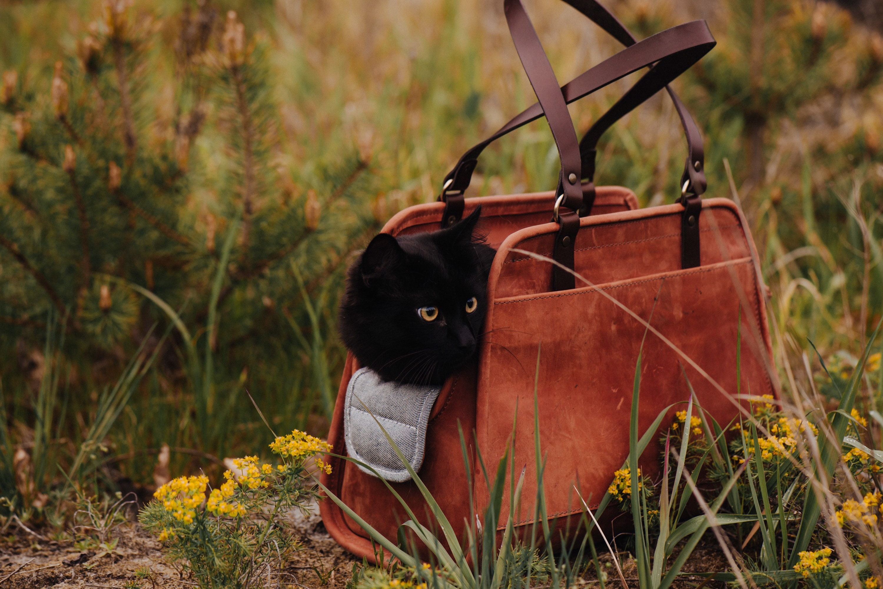 Leather dog carrier Pet carrier bag Pet carrier purse Cat Etsy