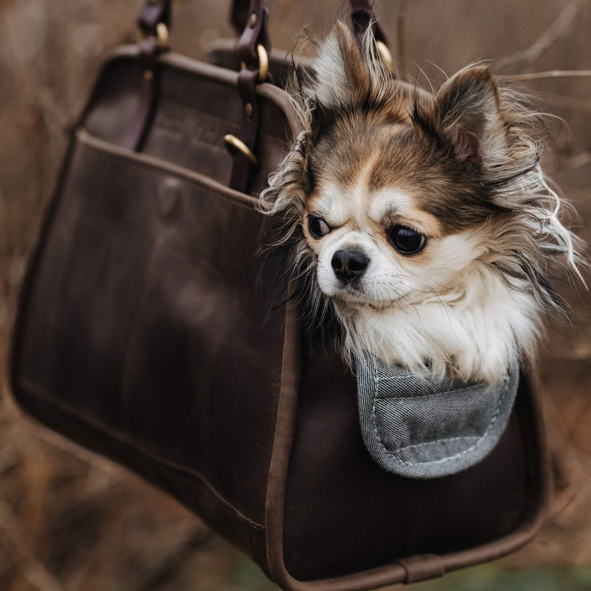 Small Dog Carrier Bag Chihuahua Purses Handbags Portable Outdoor