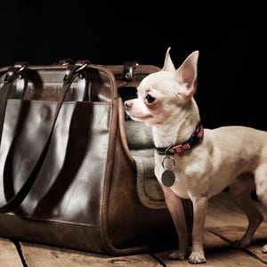 Dog Carrier Leather pet tote Dog bag Small dog carrier Leather carrier tote Travel portable pet bag Shoulder bag for pet Father day gift