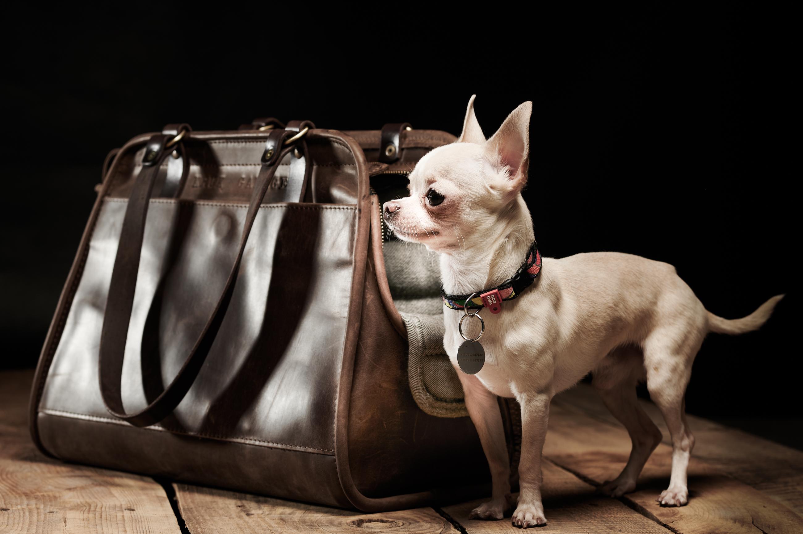 Dog Carrier Leather Pet Tote Bag Small Dog Carrier Travel Portable Shoulder For Father Day Gift