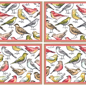 Bird Note Cards, Colorful Bird Stationery Set, Blank Inside, Kraft Notecards With Envelopes, Handmade Bird Cards, Any Occasion, Set Of 4