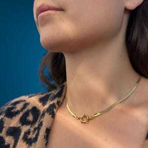 May include: A gold herringbone chain necklace with a circular clasp. The necklace is worn around the neck. The background is a solid blue colour.