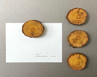 Hedgewood Slice Magnets 4pk: Natural Wood Refrigerator Magnets