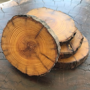 May include: Four wooden coasters made from tree slices, showing the natural grain and rings of the wood. The coasters are stacked on top of each other.