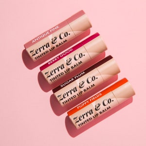 Tinted Lip Balm | zero waste | sustainable skin care | preservative free | plastic free