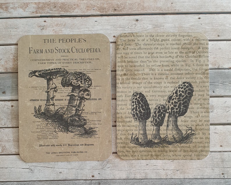 16 Vintage Mushroom Theme Journaling Cards