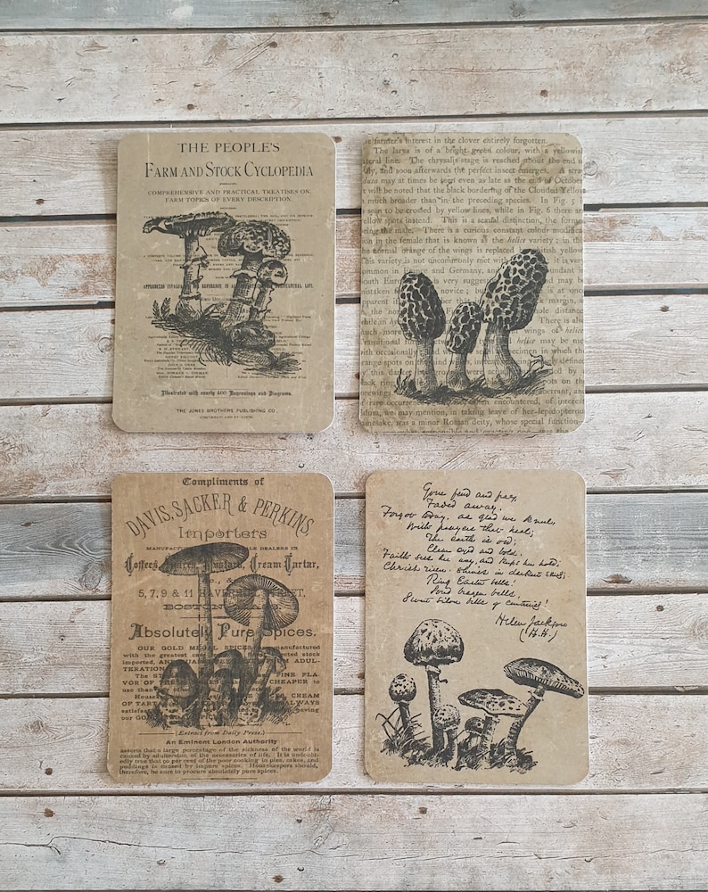 16 Vintage Mushroom Theme Journaling Cards