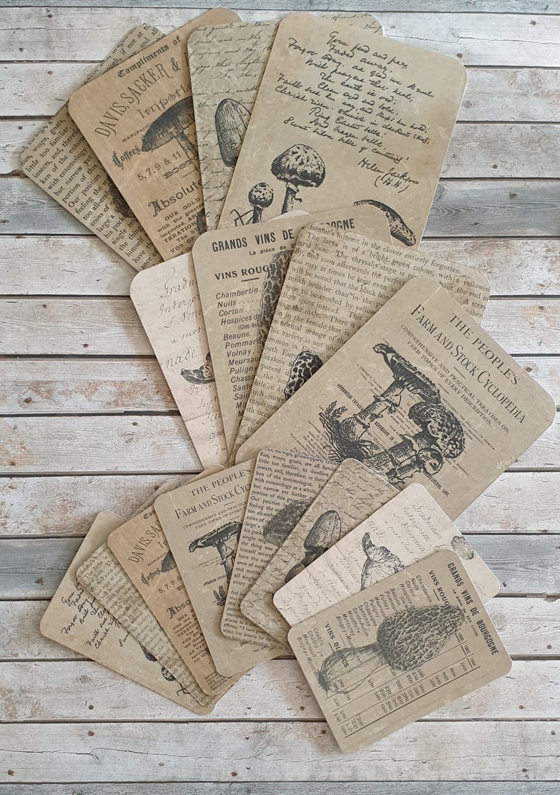 16 Vintage Mushroom Theme Journaling Cards