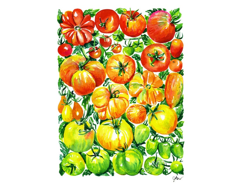 Tomate / tomates : Une impression numérique de fruits et légumes à laquarelle pour les gourmands amateurs de tomates image 3