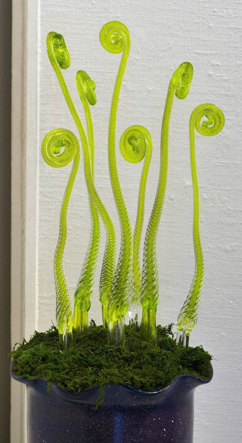 May include: A glass sculpture of green, spiraled stems in a blue pot with green moss. The stems are arranged in a cluster and appear to be growing from the moss.