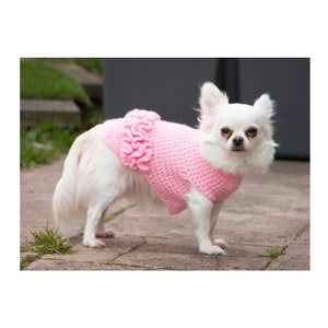 3 Sizes Crochet Dog Tutu in DK Yarn **PDF Instant Download** Pattern ONLY