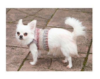 3 Sizes Crochet Dog Harness in chunky Yarn for small breeds **PDF Instant Download** Pattern ONLY