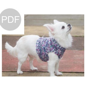 May include: A small white dog wearing a purple, blue, and green knitted sweater. The dog is looking up and standing on a pink and brown tiled surface.