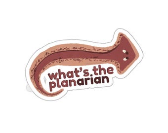 Hand Drawn Planarian Sticker – Nature Bug Vinyl Art (Water-Resistant)