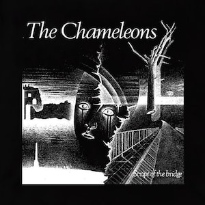 May include: Black and white illustration of a face with tears, a bridge, and a tree. The text "The Chameleons" and "Script of the bridge" are visible.