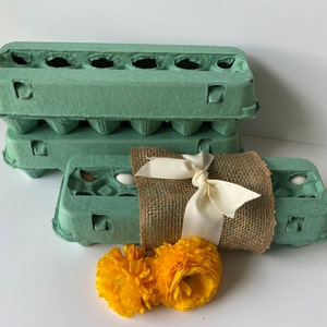 10-teal paper pulp egg cartons, Cartons hold 12 eggs.