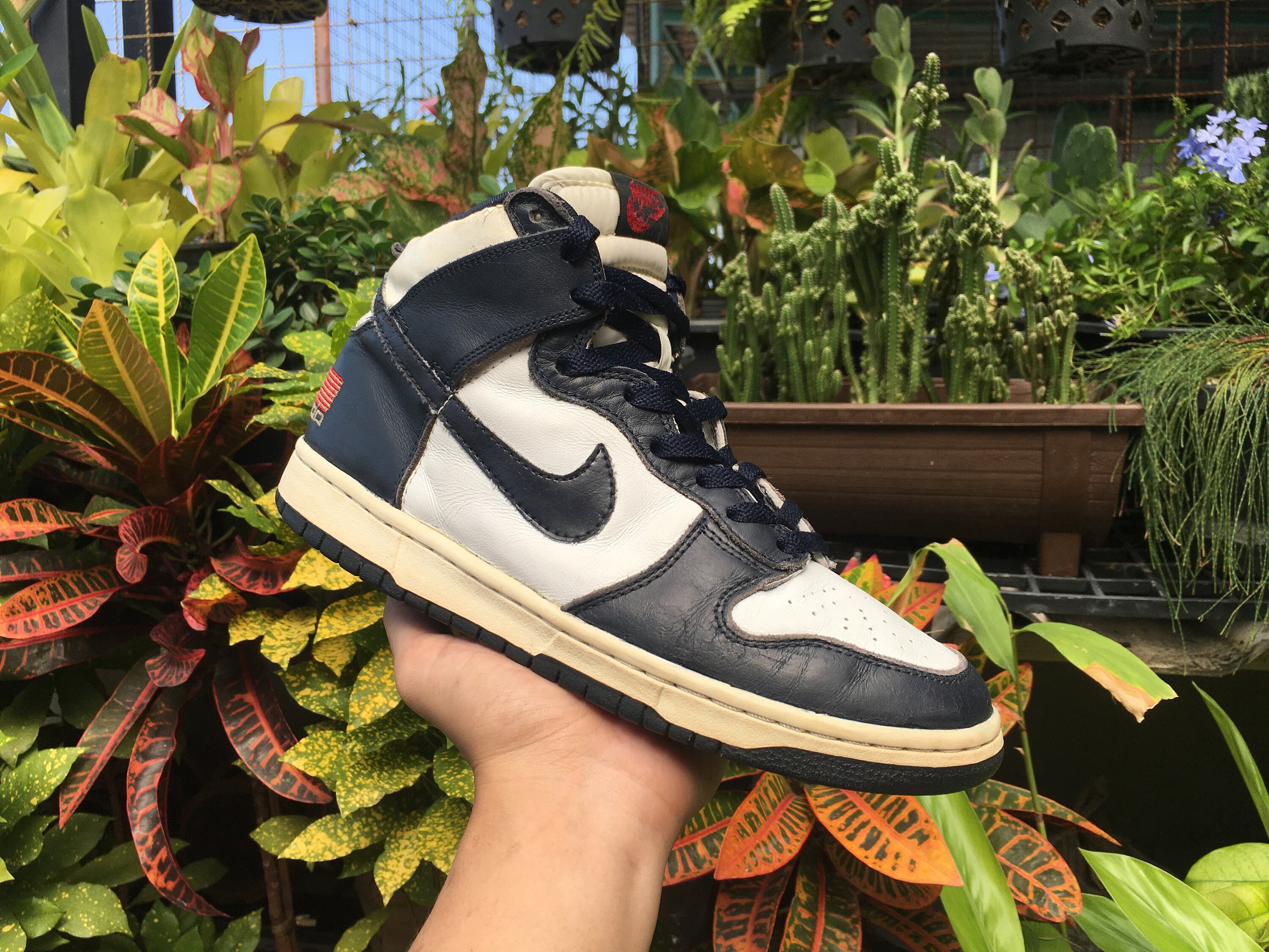 vintage dunk high