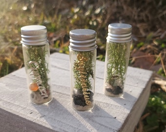 Mini Zodiac Terrariums - Crystal Astrology Terrarium