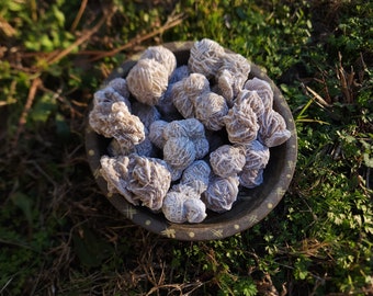 Desert Rose Clusters - Natural Clusters