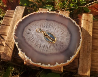 Gold Cowry Clip-on Charm