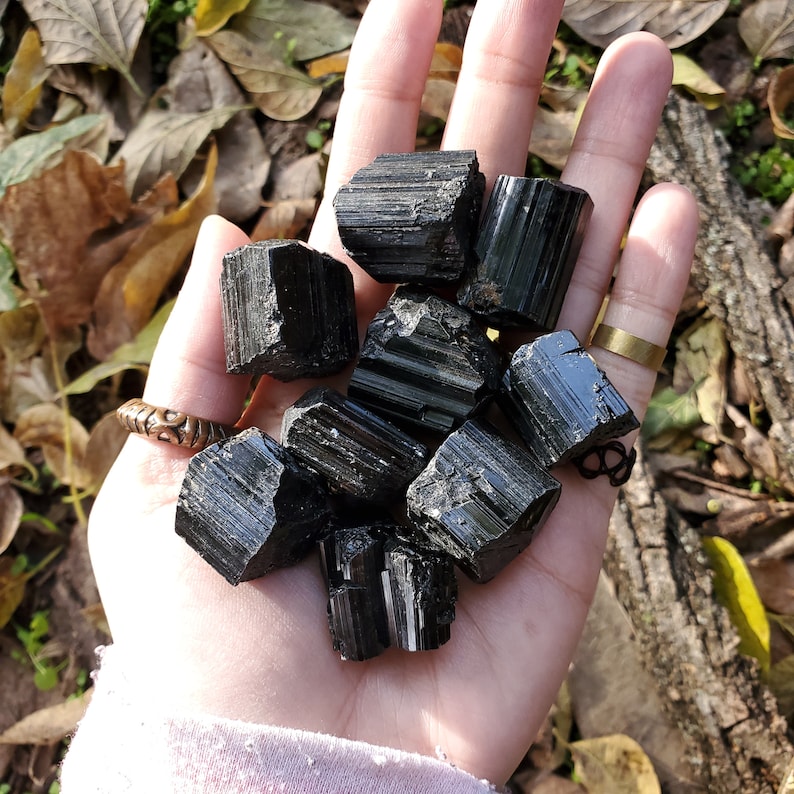 A palm full of black mineral stone rods with defined striations.