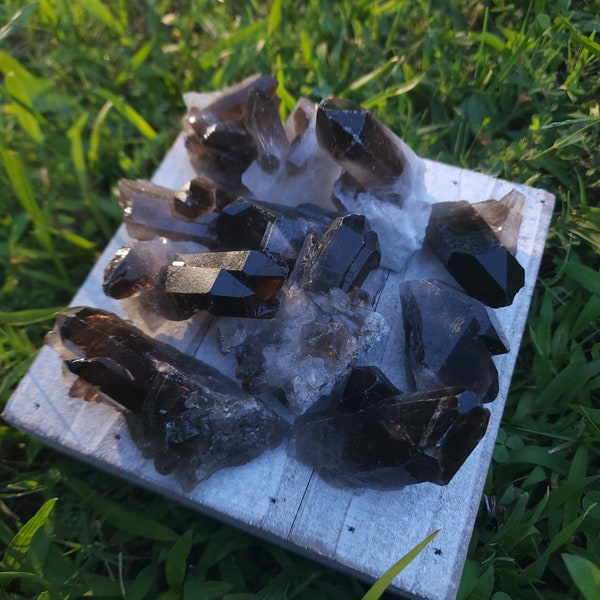 Smoky Quartz Cluster - Natural Smoky Quartz Specimens