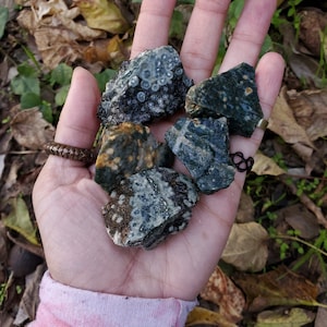 A palm full of deep green stones with orbicular patterns.