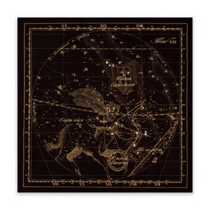 Sagittarius Zodiac Sign Art, Old Russian Astronomy Chart, Star Constellation Illustration, Vintage Style Print, Multiple Size Options