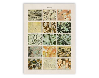 Vintage Minerals Print: Adolphe Millot Geology Chart Poster