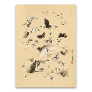 Japanese Ukiyo-e Butterfly Poster, Premium Vintage Style Reproduction Print, JA1