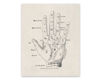 Old Palmistry Illustration Chart, Mystic Palm Reading Poster, Premium Vintage Style Reproduction Print OC1