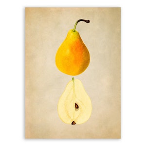 Vintage Pear Print, Fruit Themed Pomology Watercolor Artwork, Premium Reproduction Poster, JMS51
