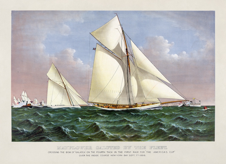 May include: A vintage illustration of a sailboat race, depicting the Mayflower crossing the bow of Galatea on the fourth tack in the first race for the America's Cup. The image is titled "Mayflower Saluted by the Fleet" and includes the date "Sept 3rd 1895".