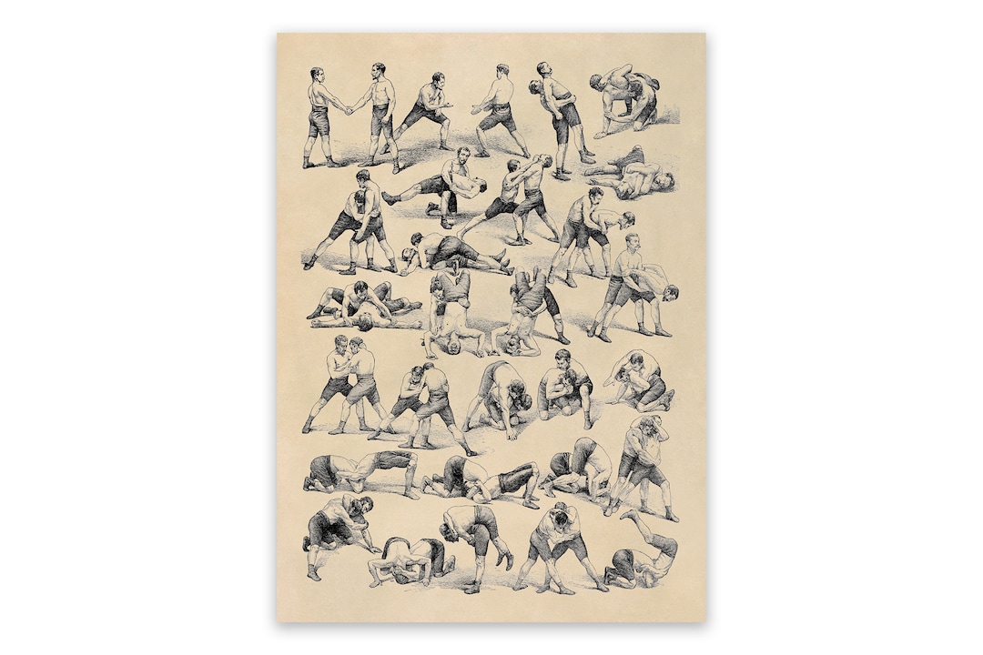Wrestling Techniques Poster, Sport Wrestler Fighting Moves Print ...