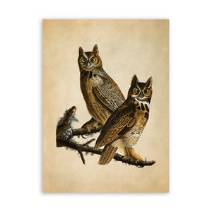 May include: Two brown and white owls perched on a branch with a light brown background. The owls have large yellow eyes and are facing forward.