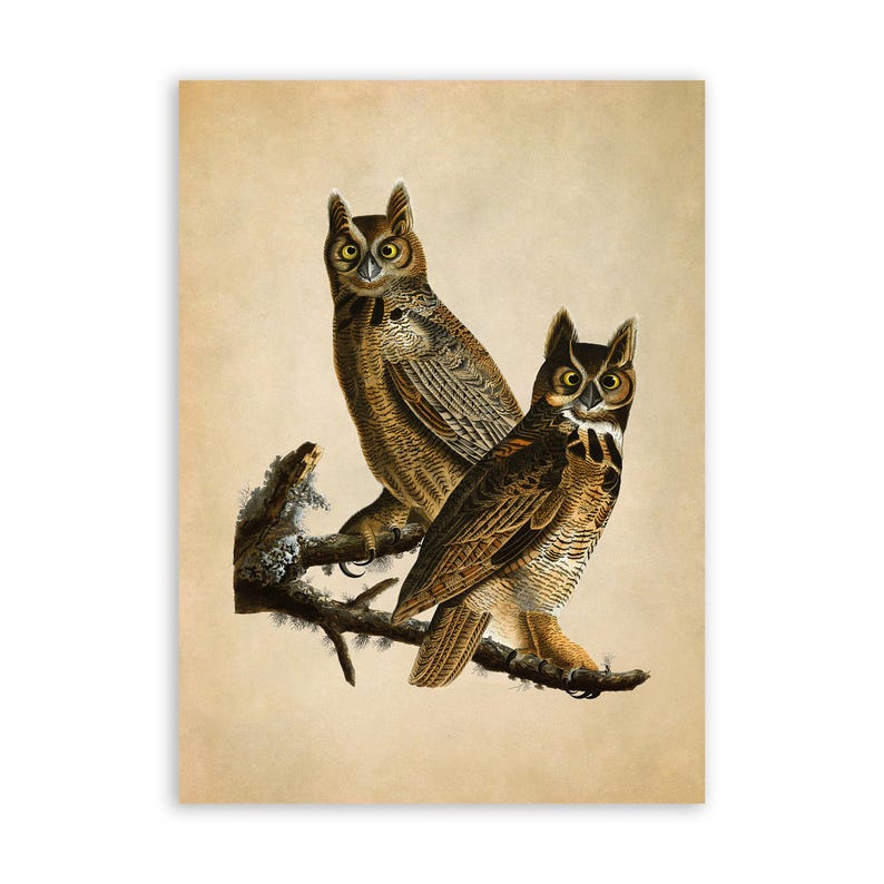 May include: Two brown and white owls perched on a branch with a light brown background. The owls have large yellow eyes and are facing forward.