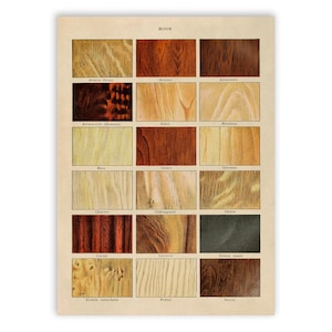 May include: A vintage-style educational poster titled BOIS featuring a grid of eighteen rectangular illustrations displaying various wood grain patterns and colors, ranging from light beige and yellow to deep reddish-brown and dark charcoal tones.