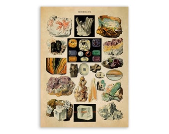 Vintage Mineral Print: Adolphe Millot Geology Chart Poster, AM55