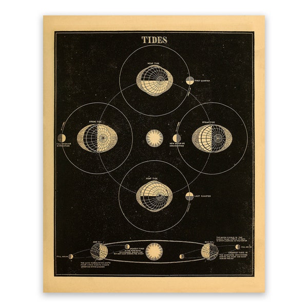 Earth Ocean Tides Illustration, Astronomy Poster, Astronomical Ocean Tides  Chart, Vintage Style Print, SIA22