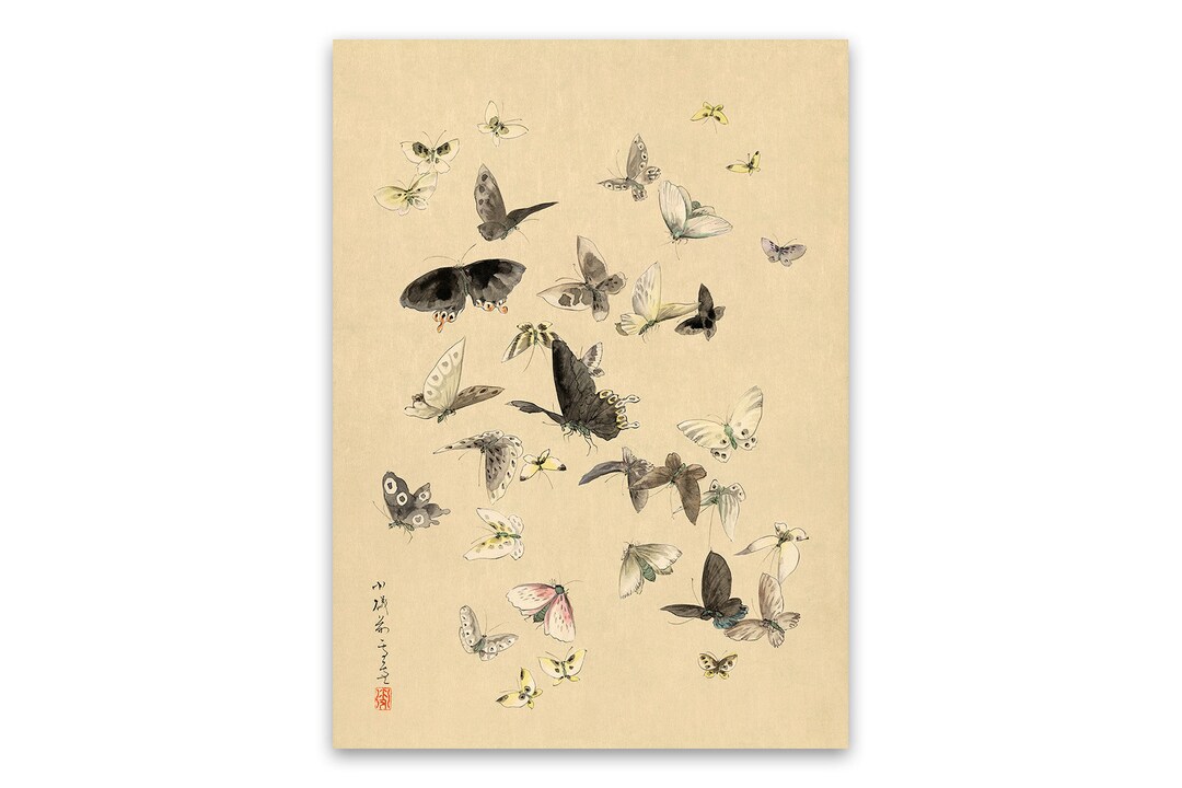 MIYABI × antique butterfly – oldsea