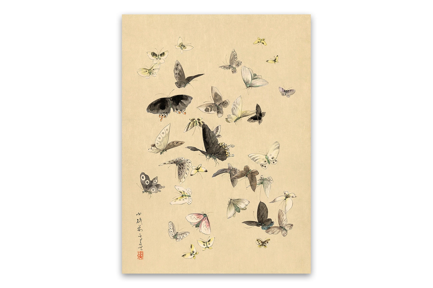 Old Japanese Butterflies and Moths Illustration, Premium Old Japanese Butterflies and Moths Illustration, Premium