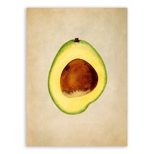 Avocado Illustration, Tropical Fruit Themed Botanical Watercolor Artwork, Premium Vintage Style Reproduction Print, JMS24