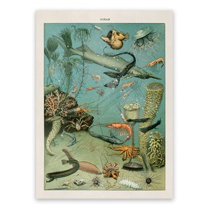 Vintage Marine Life Print: Adolphe Millot Fish Chart Poster, AM19