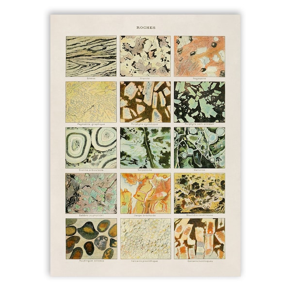 Vintage Minerals Print: Adolphe Millot Geology Chart Poster